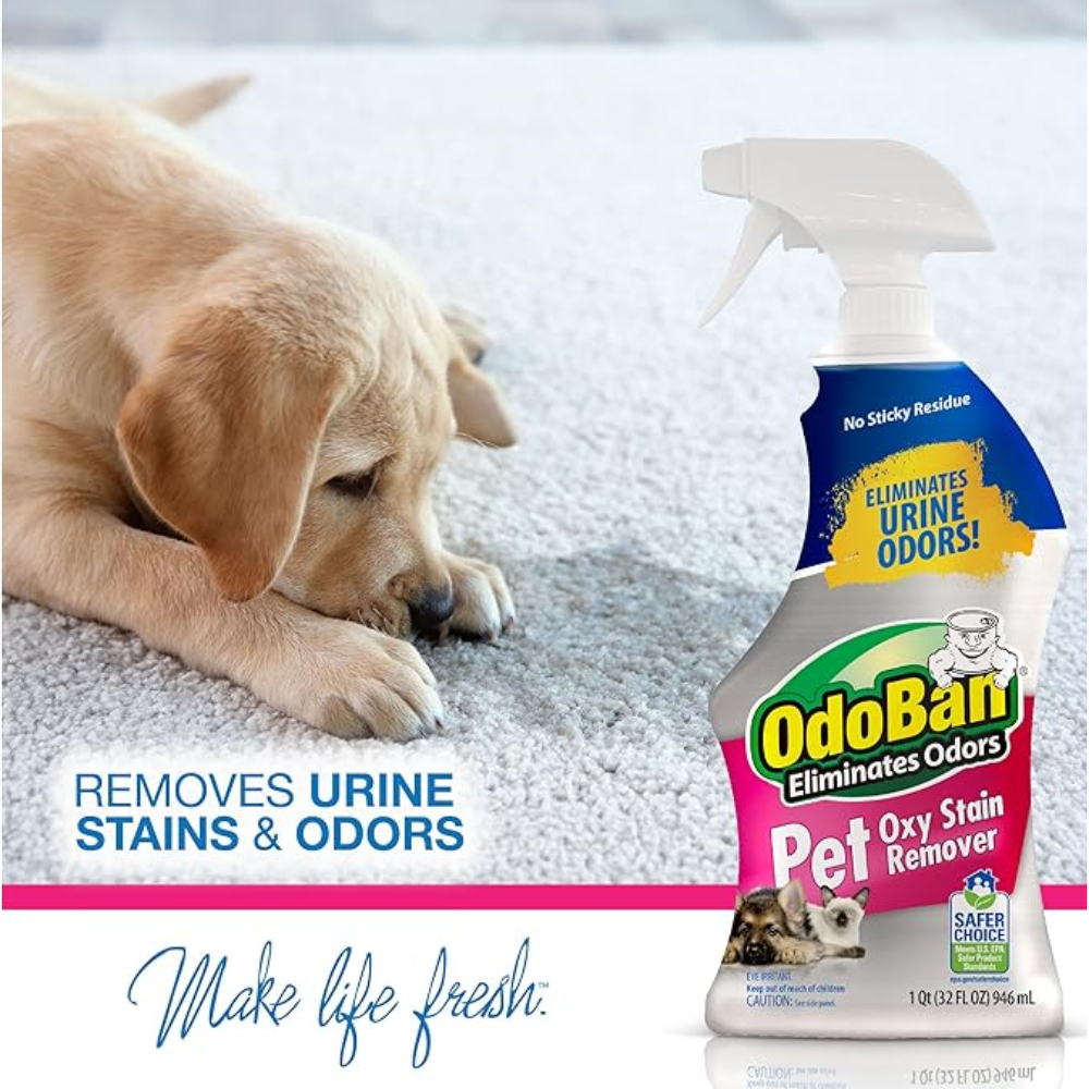 OdoBan Pet Solutions Oxy Stain Remover