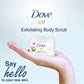 Dove Crush Macadamia & Rice Milk (SOLD BY CASE) 4 / Carton