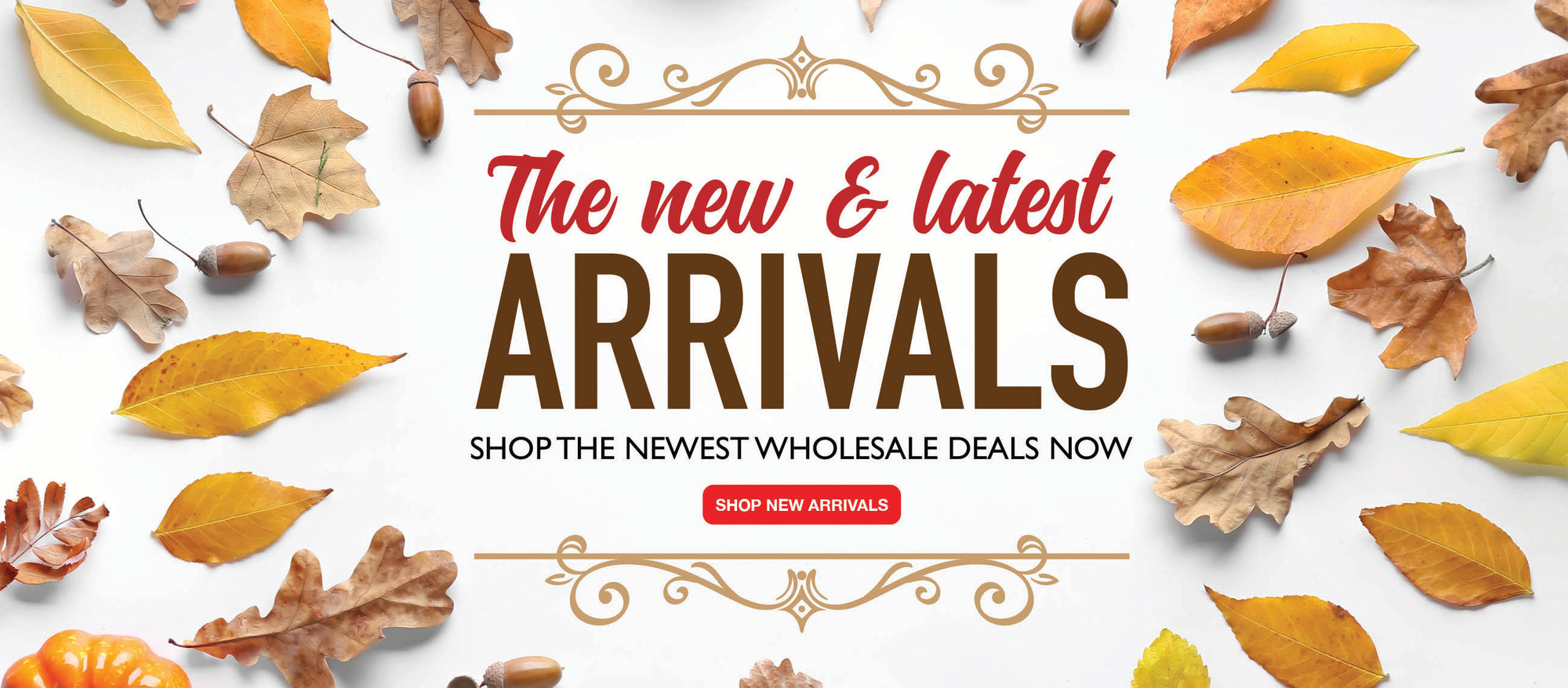 Shop Quality Products at Below Market Prices Matt's Warehouse Deals