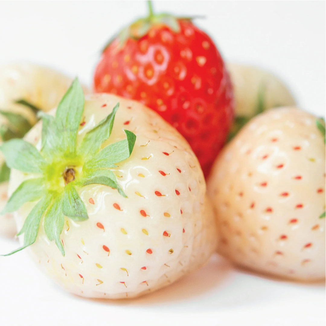 Olay Fresh White Strawberry & Mint Beauty Bar, 8 Ct (SOLD BY CASE) 4 / Carton