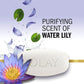 Olay Ultra Fresh Notes of Water Lily, 16 bars