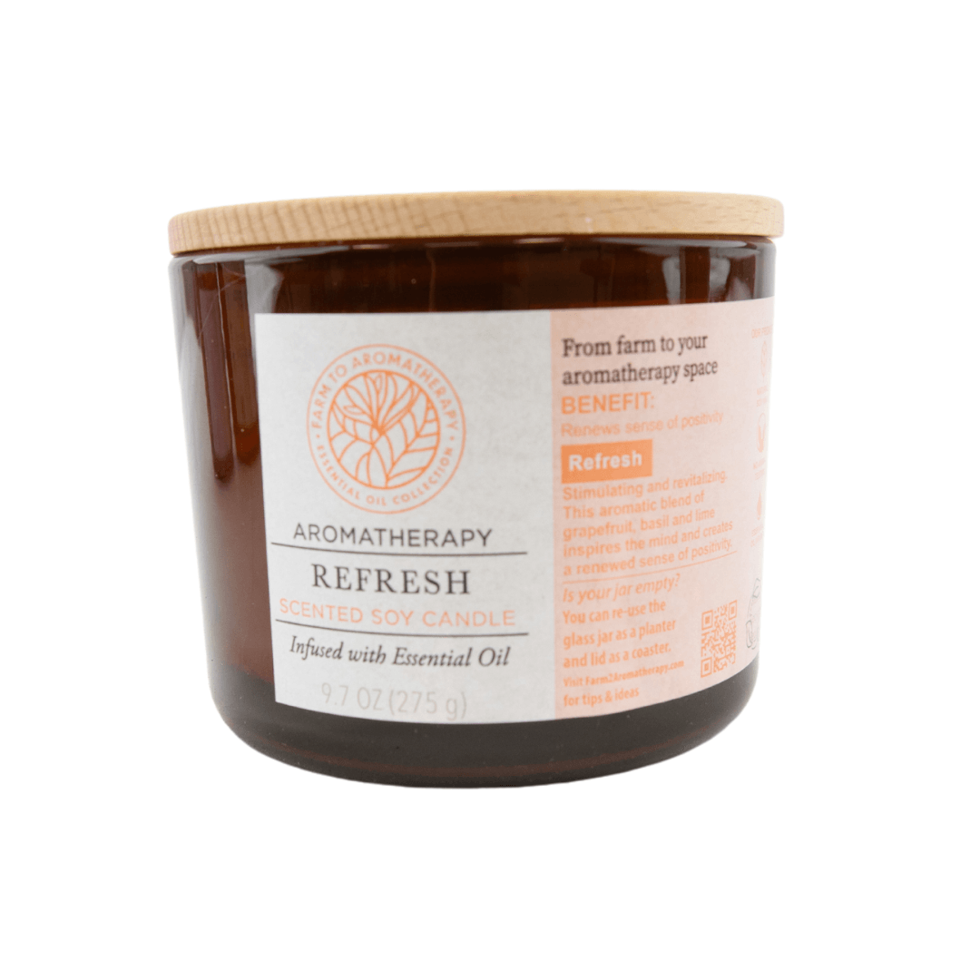 Aromatherapy Essential Oil Scented Soy Candle Variety 9.7oz